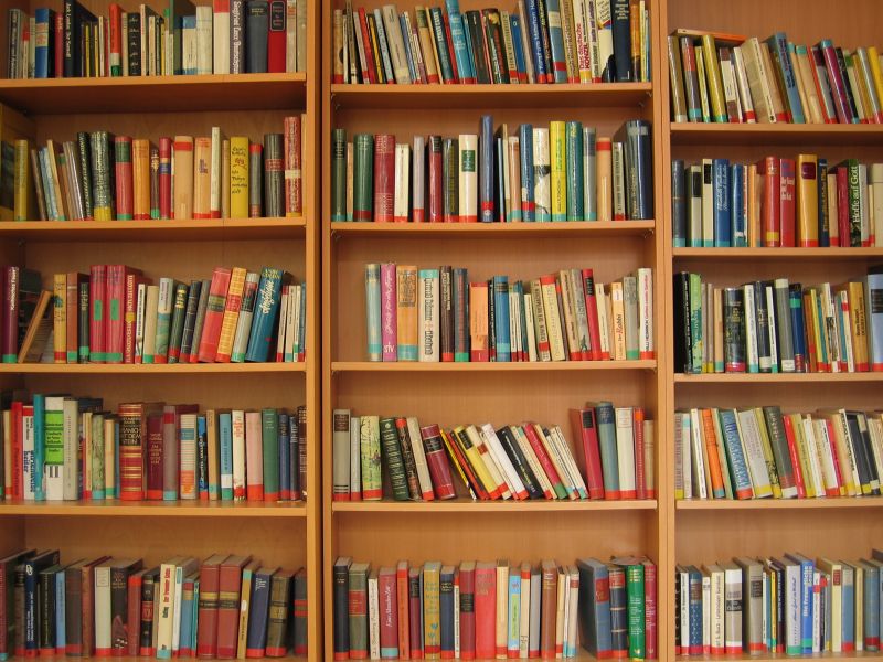 Libri azzurri