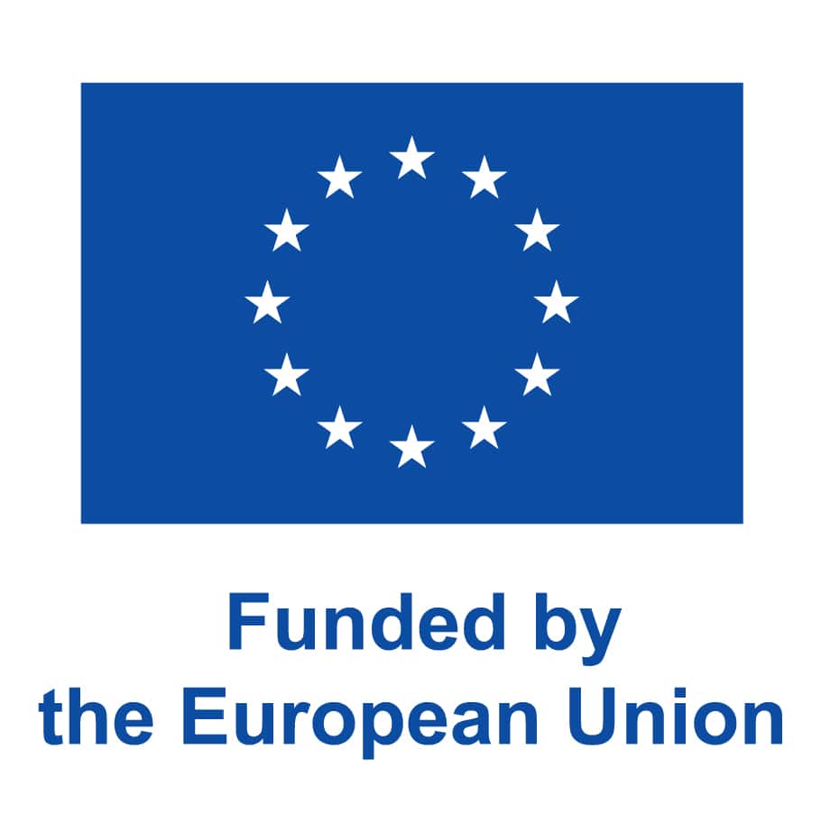 EN V Funded by the EU_PANTONE