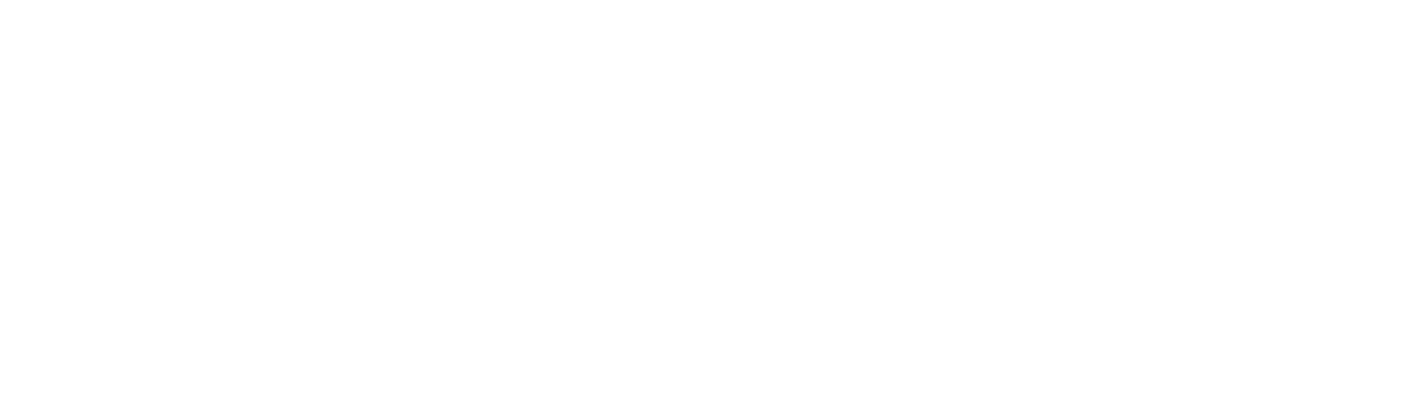 Logo_MATIX_bianco